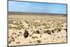 Boats in Desert - Aral Sea-Daniel Prudek-Mounted Photographic Print