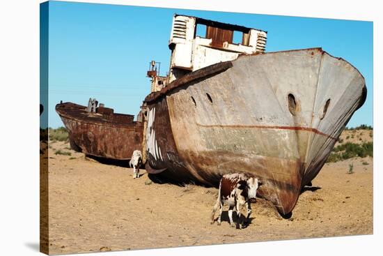 Boats in Desert around Moynaq, Muynak or Moynoq - Aral Sea or Aral Lake - Uzbekistan - Asia-Daniel Prudek-Stretched Canvas