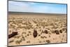 Boats in Desert around Moynaq, Muynak or Moynoq - Aral Sea or Aral Lake - Uzbekistan - Asia-Daniel Prudek-Mounted Photographic Print