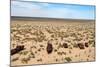 Boats in Desert around Moynaq, Muynak or Moynoq - Aral Sea or Aral Lake - Uzbekistan - Asia-Daniel Prudek-Mounted Photographic Print