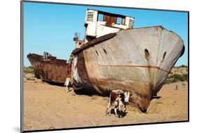 Boats in Desert around Moynaq, Muynak or Moynoq - Aral Sea or Aral Lake - Uzbekistan - Asia-Daniel Prudek-Mounted Photographic Print