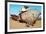 Boats in Desert around Moynaq, Muynak or Moynoq - Aral Sea or Aral Lake - Uzbekistan - Asia-Daniel Prudek-Framed Photographic Print