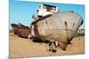 Boats in Desert around Moynaq, Muynak or Moynoq - Aral Sea or Aral Lake - Uzbekistan - Asia-Daniel Prudek-Mounted Photographic Print