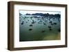 Boats in Ha-Long Bay, UNESCO World Heritage Site, Vietnam, Indochina, Southeast Asia, Asia-Godong-Framed Photographic Print