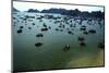 Boats in Ha-Long Bay, UNESCO World Heritage Site, Vietnam, Indochina, Southeast Asia, Asia-Godong-Mounted Photographic Print