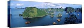 Boats in Halong Bay, Gulf of Tonkin, Vietnam-null-Stretched Canvas