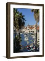 Boats in Harbor, Dubrovnik, Croatia, Europe-Jim Engelbrecht-Framed Photographic Print