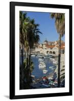 Boats in Harbor, Dubrovnik, Croatia, Europe-Jim Engelbrecht-Framed Photographic Print