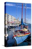 Boats in Harbor, Meze, Herault, Languedoc Roussillon Region, France, Europe-Guy Thouvenin-Stretched Canvas