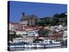 Boats in Harbor, St. George, Grenada, Caribbean-Greg Johnston-Stretched Canvas