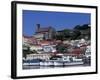 Boats in Harbor, St. George, Grenada, Caribbean-Greg Johnston-Framed Photographic Print