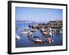 Boats in Harbour, Lyme Regis, Dorset, England, United Kingdom-J Lightfoot-Framed Photographic Print