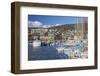 Boats in Harbour, Neuchatel, Switzerland, Europe-Ian Trower-Framed Photographic Print