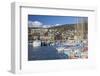 Boats in Harbour, Neuchatel, Switzerland, Europe-Ian Trower-Framed Photographic Print