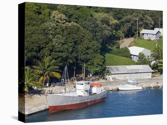 Boats in Mahogany Bay, Roatan Island, Honduras, Central America-Richard Cummins-Stretched Canvas