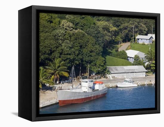 Boats in Mahogany Bay, Roatan Island, Honduras, Central America-Richard Cummins-Framed Stretched Canvas