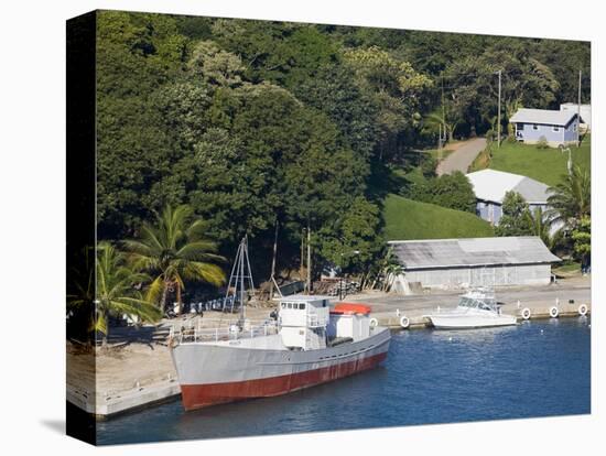 Boats in Mahogany Bay, Roatan Island, Honduras, Central America-Richard Cummins-Stretched Canvas