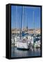 Boats in Marina, Meze, Herault, Languedoc Roussillon Region, France, Europe-Guy Thouvenin-Framed Stretched Canvas