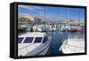 Boats in Marina, Meze, Herault, Languedoc Roussillon Region, France, Europe-Guy Thouvenin-Framed Stretched Canvas