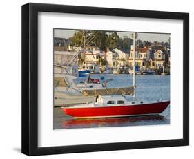 Boats in Newport Channel Near Balboa, Newport Beach, Orange County, California, United States of Am-Richard Cummins-Framed Photographic Print