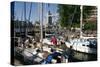 Boats in St Katherines Lock, London-Peter Thompson-Stretched Canvas