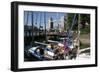 Boats in St Katherines Lock, London-Peter Thompson-Framed Photographic Print