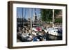 Boats in St Katherines Lock, London-Peter Thompson-Framed Photographic Print