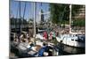 Boats in St Katherines Lock, London-Peter Thompson-Mounted Photographic Print