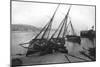 Boats in Tenby Harbour, Pembrokeshire, Wales, 1924-1926-Francis & Co Frith-Mounted Giclee Print