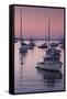 Boats in the Atlantic Ocean at dawn, Rockport Harbor, Rockport, Maine, USA-null-Framed Stretched Canvas