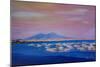 Boats in the Gulf of Naples Italy with Mount Vesuvio-Markus Bleichner-Mounted Premium Giclee Print