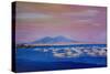 Boats in the Gulf of Naples Italy with Mount Vesuvio-Markus Bleichner-Stretched Canvas