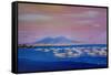 Boats in the Gulf of Naples Italy with Mount Vesuvio-Markus Bleichner-Framed Stretched Canvas