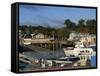 Boats in the Harbour and Waterfront, Bar Harbour, Maine, New England, USA-Amanda Hall-Framed Stretched Canvas