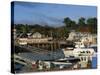 Boats in the Harbour and Waterfront, Bar Harbour, Maine, New England, USA-Amanda Hall-Stretched Canvas