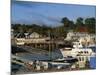 Boats in the Harbour and Waterfront, Bar Harbour, Maine, New England, USA-Amanda Hall-Mounted Photographic Print