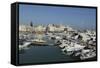 Boats in the Harbour by the Cathedral of St. Nicholas the Pilgrim (San Nicola Pellegrino) in Trani-Stuart Forster-Framed Stretched Canvas