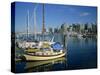 Boats in the Marina at Stanley Park with Skyline of Vancouver Behind, British Columbia, Canada-Renner Geoff-Stretched Canvas