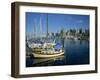 Boats in the Marina at Stanley Park with Skyline of Vancouver Behind, British Columbia, Canada-Renner Geoff-Framed Photographic Print