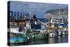 Boats in the Marina Piccola (Small Port), Mediterranean Sea, Sorrento, Campania, Italy, Europe-Natalie Tepper-Stretched Canvas