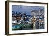 Boats in the Marina Piccola (Small Port), Mediterranean Sea, Sorrento, Campania, Italy, Europe-Natalie Tepper-Framed Photo