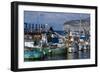 Boats in the Marina Piccola (Small Port), Mediterranean Sea, Sorrento, Campania, Italy, Europe-Natalie Tepper-Framed Photo