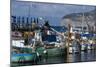 Boats in the Marina Piccola (Small Port), Mediterranean Sea, Sorrento, Campania, Italy, Europe-Natalie Tepper-Mounted Photo