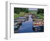 Boats, Killarney, County Kerry, Munster, Republic of Ireland (Eire), Europe-Firecrest Pictures-Framed Photographic Print