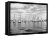 Boats Lined up for a Race on Lake Washington-Ray Krantz-Framed Stretched Canvas