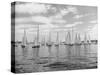 Boats Lined up for a Race on Lake Washington-Ray Krantz-Stretched Canvas