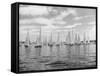 Boats Lined up for a Race on Lake Washington-Ray Krantz-Framed Stretched Canvas