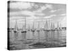 Boats Lined up for a Race on Lake Washington-Ray Krantz-Stretched Canvas