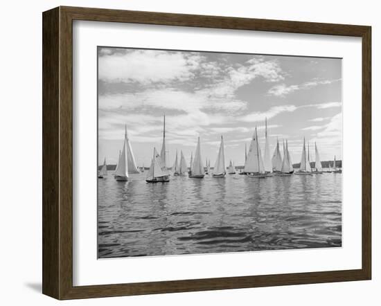 Boats Lined up for a Race on Lake Washington-Ray Krantz-Framed Photographic Print