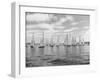 Boats Lined up for a Race on Lake Washington-Ray Krantz-Framed Photographic Print